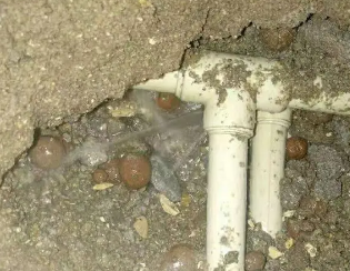 高阳县卫生间测漏