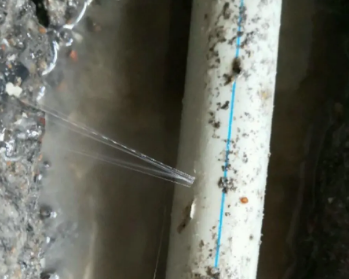 高阳县卫生间测漏水多少钱