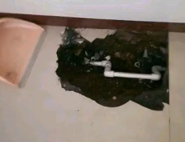 高阳县卫生间测漏水多少钱